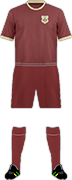 Kit LEIZHOU CRAZY WOLF F.C.