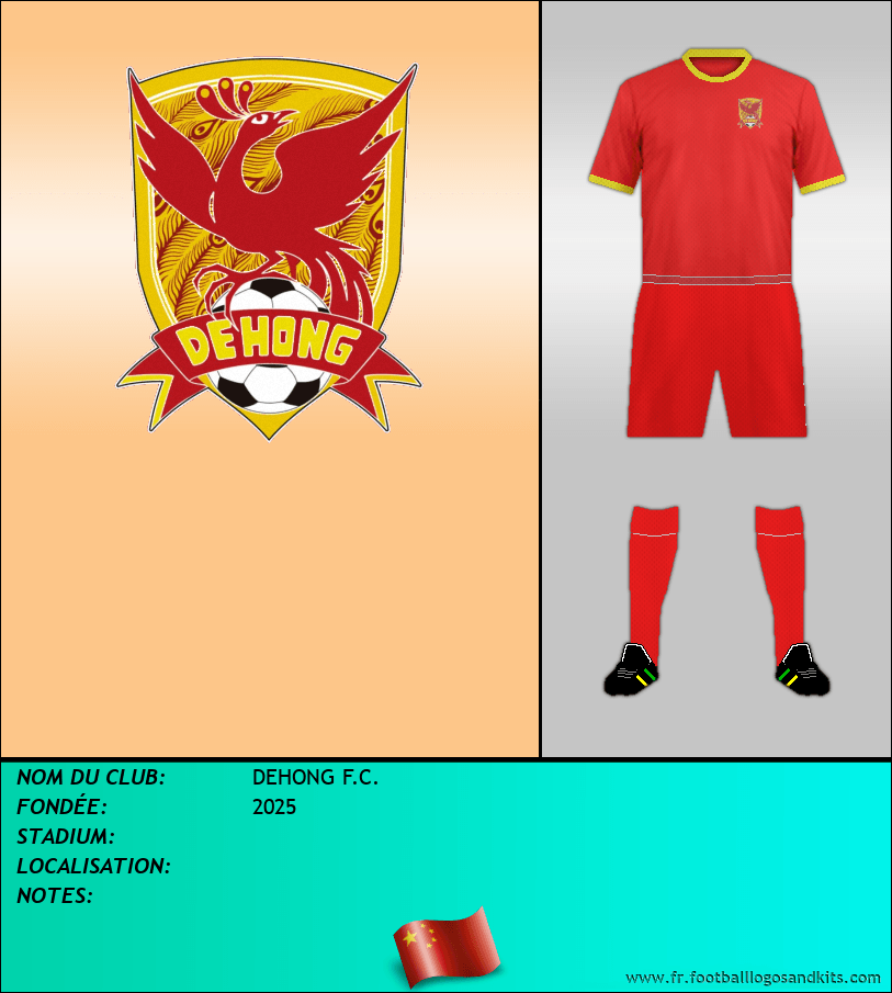 Logo de DEHONG F.C.