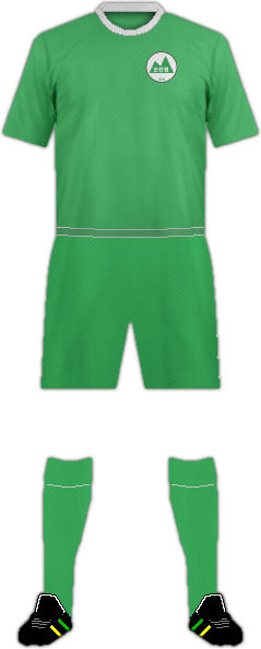 套件莫兰邦特别公司