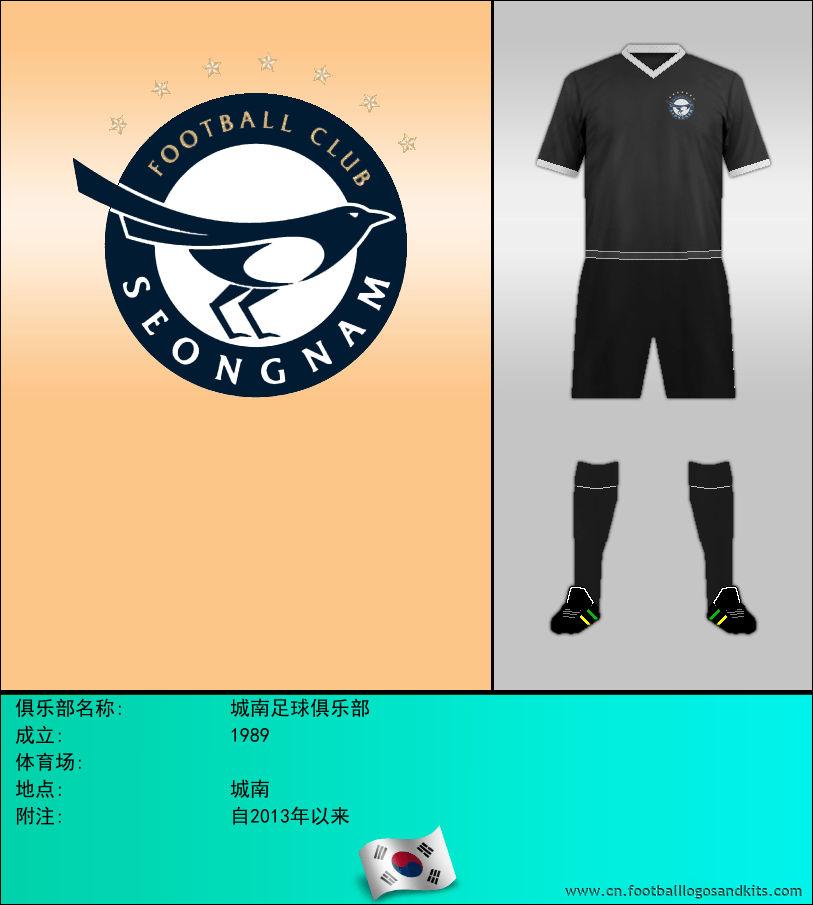标志城南足球俱乐部