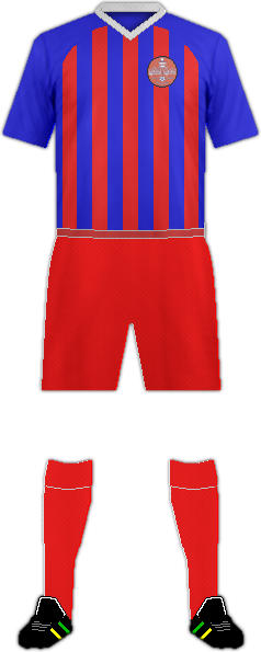 套件沙阿布中央服务委员会