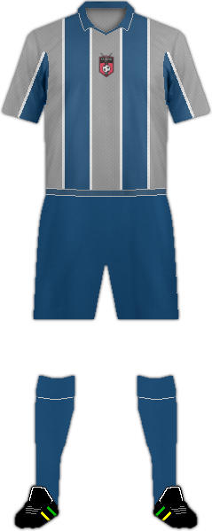 套件养护证监会