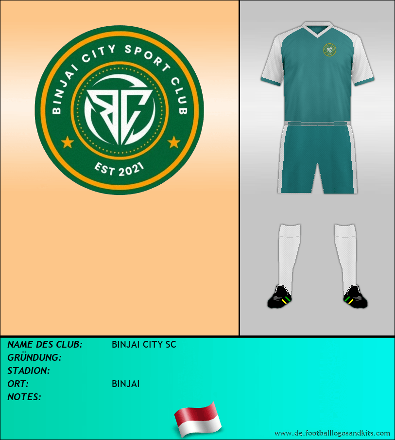 Logo BINJAI CITY SC