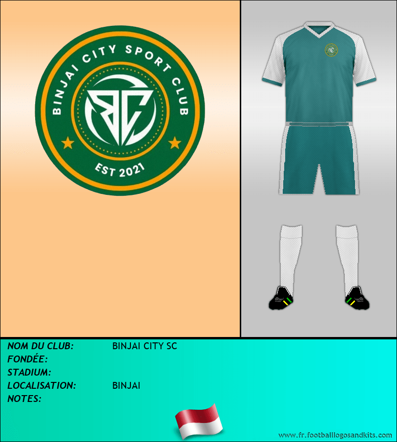 Logo de BINJAI CITY SC