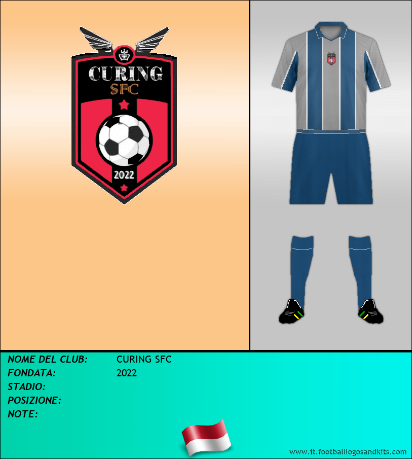 Logo di CURING SFC