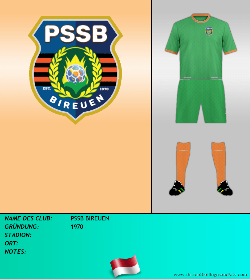 Logo PSSB BIREUEN