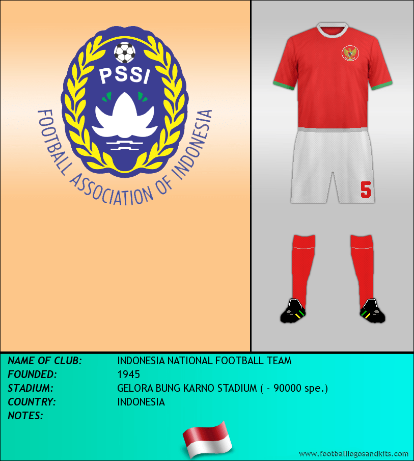 indonesia national football team jersey