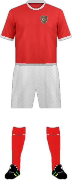 Trikot HFC