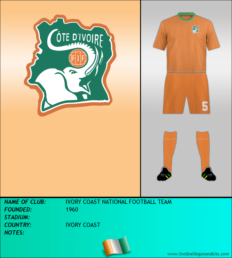 ivory coast national team jersey