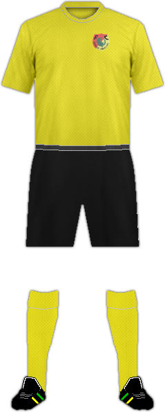 Trikot STEVE BIKO F.C.