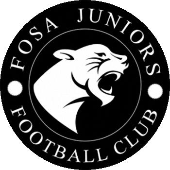 标志福萨青年足球俱乐部 (马达加斯加)