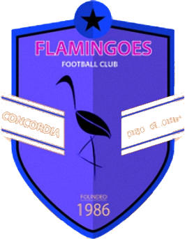 标志弗拉明戈斯足球俱乐部 (纳米比亚)