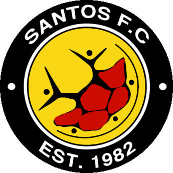 のロゴサントスFC (南アフリカ)