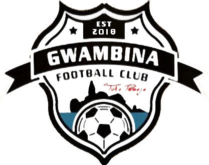标志格瓦比纳足球俱乐部 (坦桑尼亚)