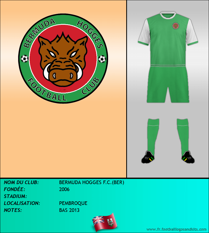Logo de BERMUDA HOGGES F.C.(BER)