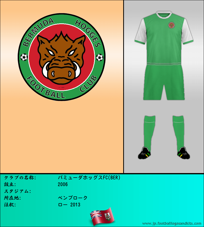 のロゴバミューダホッグスFC(BER)
