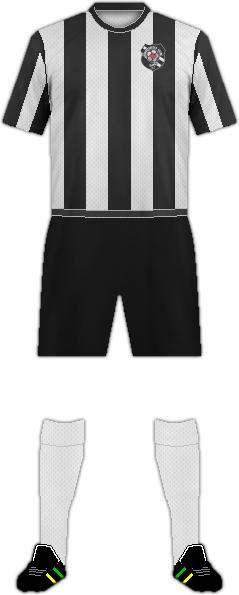 キットゴージサッカー協会