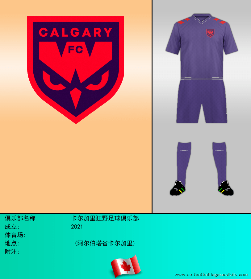 标志卡尔加里狂野足球俱乐部