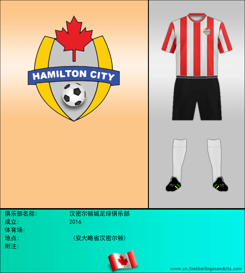 标志汉密尔顿城足球俱乐部