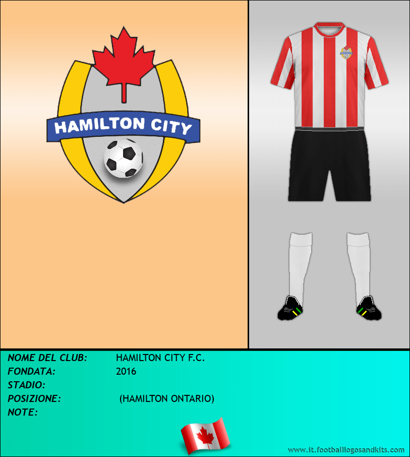 Logo di HAMILTON CITY F.C.
