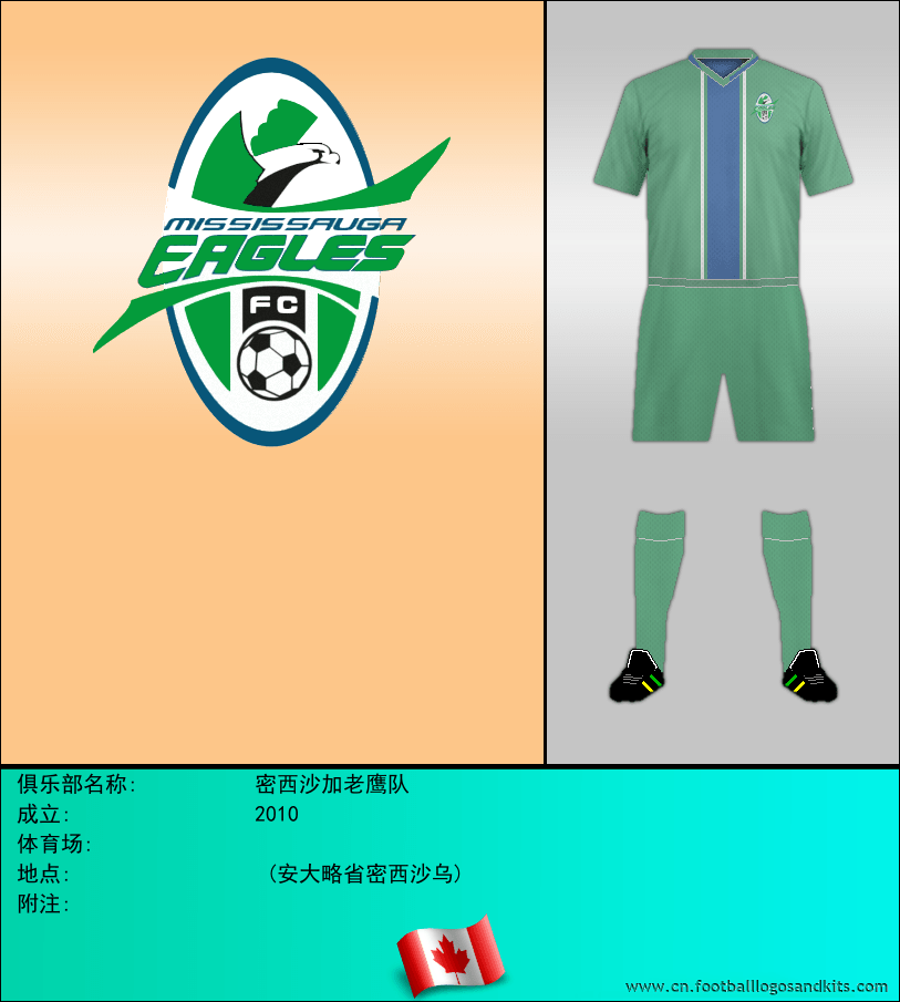 标志密西沙加老鹰队