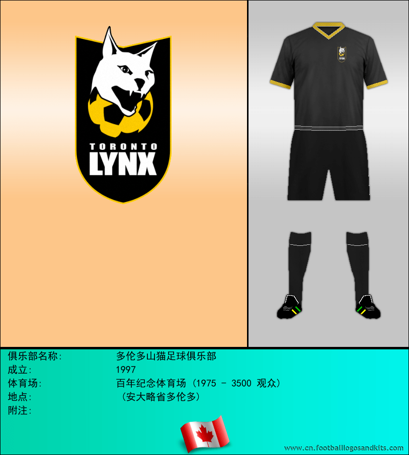 标志多伦多山猫足球俱乐部