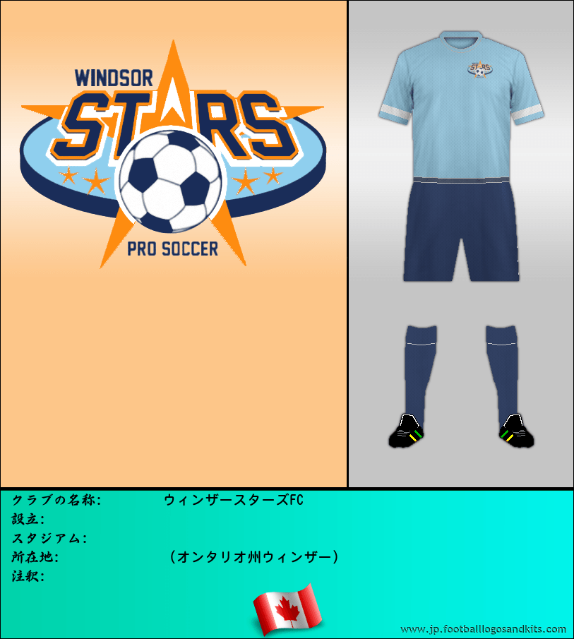 のロゴウィンザースターズFC