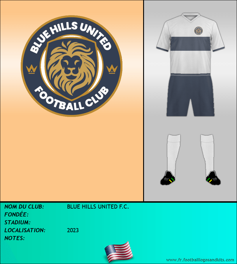 Logo de BLUE HILLS UNITED F.C.