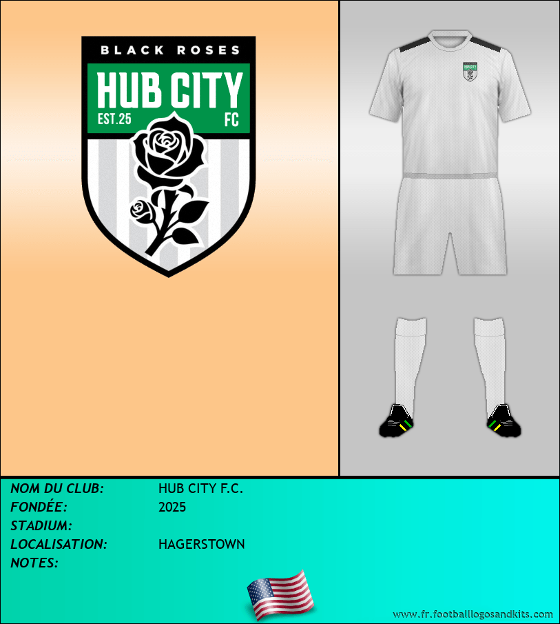 Logo de HUB CITY F.C.