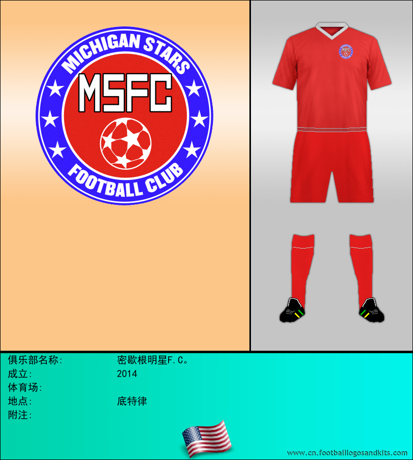 标志密歇根明星F.C。