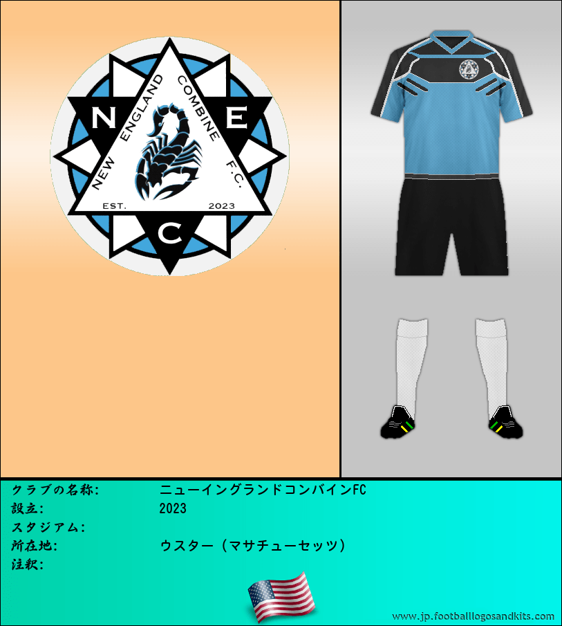 のロゴニューイングランドコンバインFC