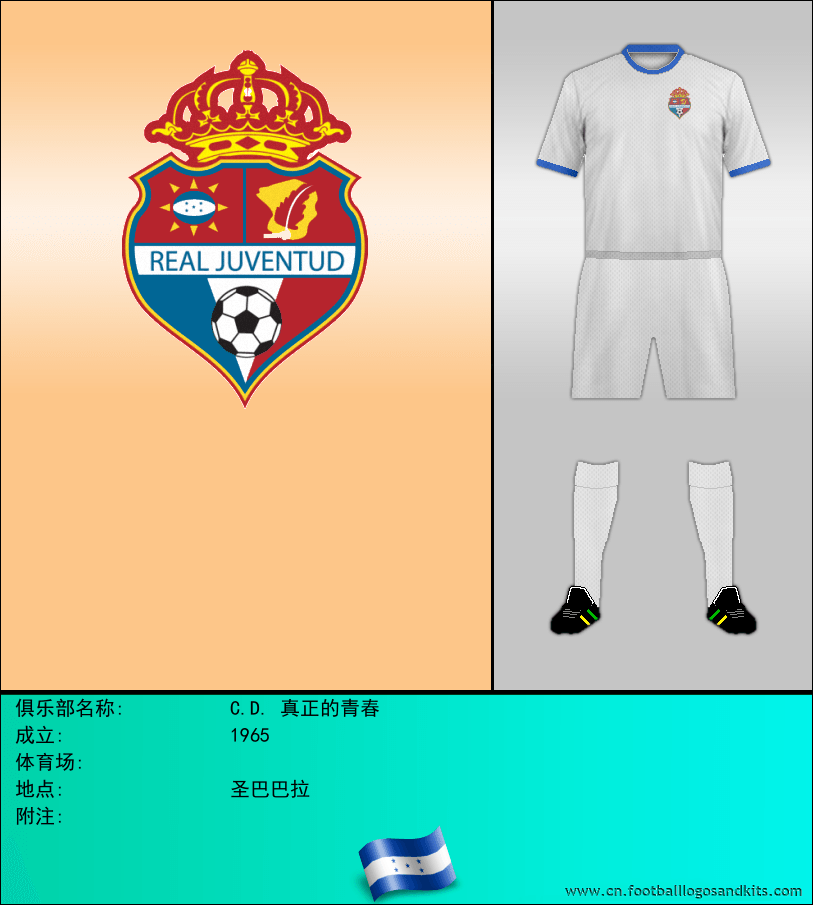 标志C.D. 真正的青春