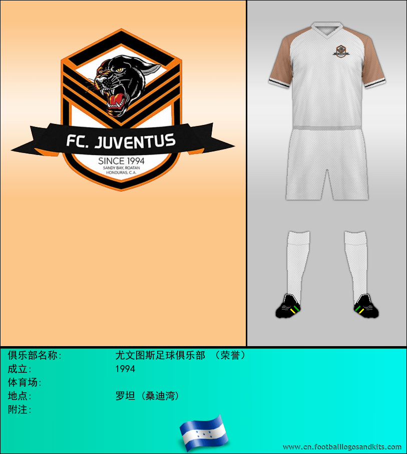 标志尤文图斯足球俱乐部 （荣誉）