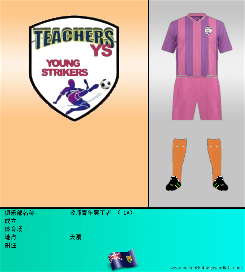 标志教师青年罢工者 （TCA）