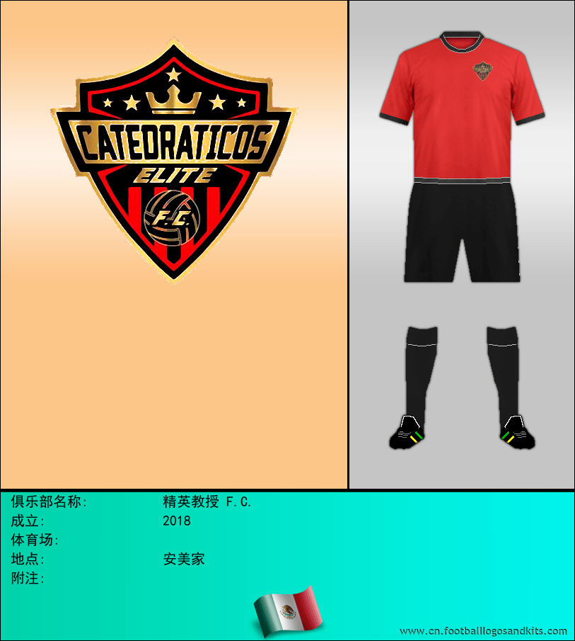 标志精英教授 F.C.
