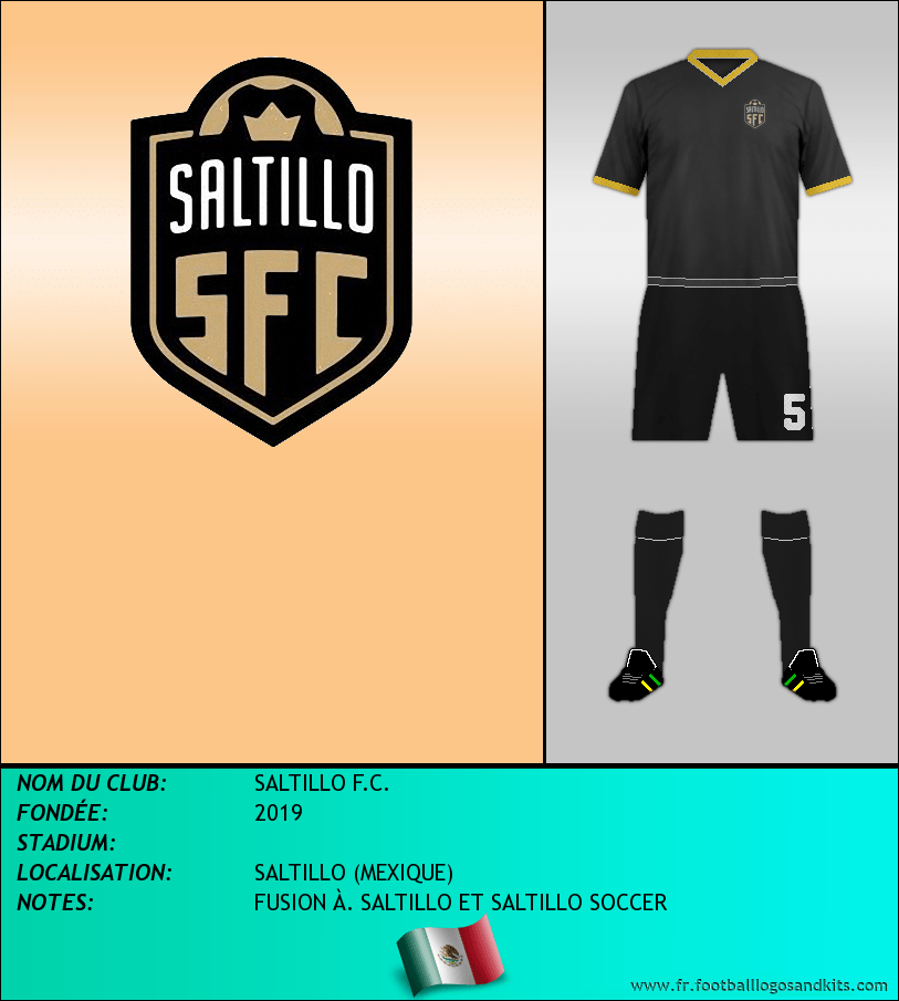 Logo de SALTILLO F.C.