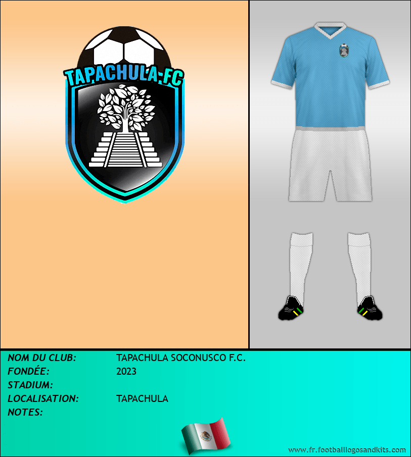 Logo de TAPACHULA SOCONUSCO F.C.