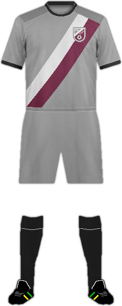 套件C.S.和D.卫生工程