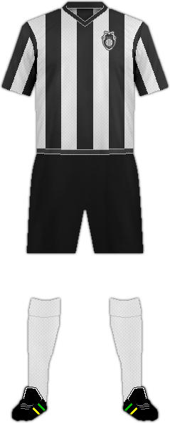 套件美洲国家综合市场