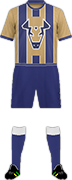 Trikot FUTVALLE F.C.