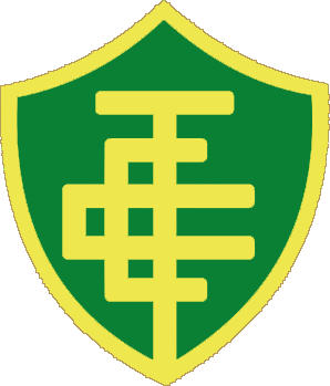 标志图皮 (巴西)