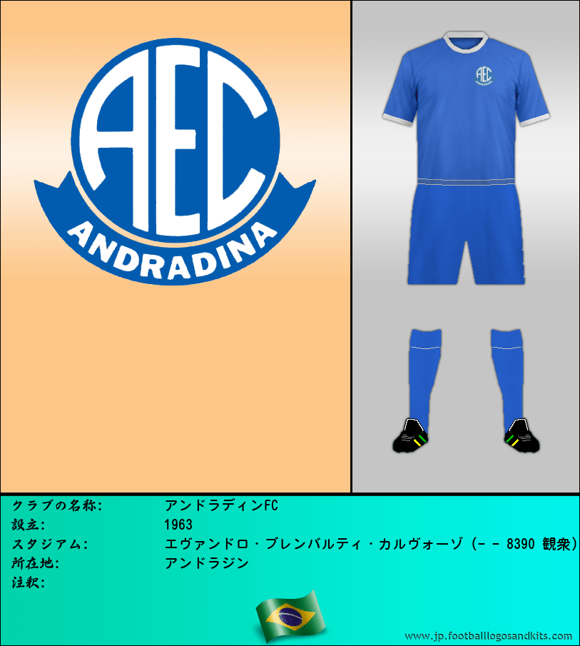 のロゴアンドラディンFC