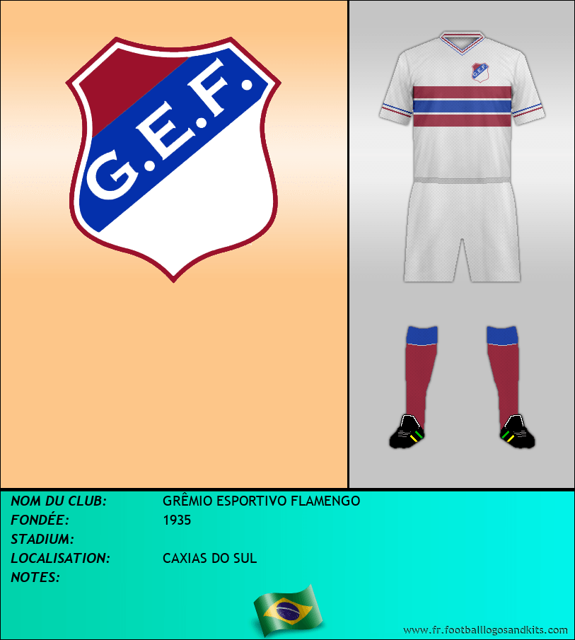 Logo de GRÊMIO ESPORTIVO FLAMENGO