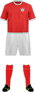 Kit C.D. UNIÓN PISCO-min