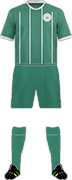 Kit RODELINDO ROMÁN F.C.-min