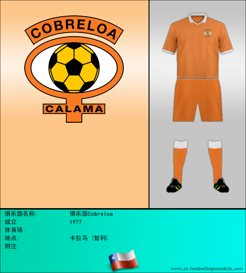 标志俱乐部Cobreloa