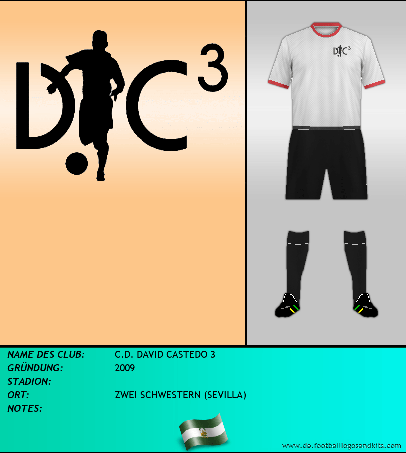 Logo C.D. DAVID CASTEDO 3