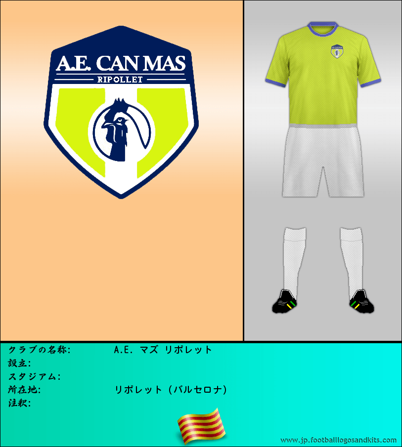 のロゴA.E. マズ リポレット