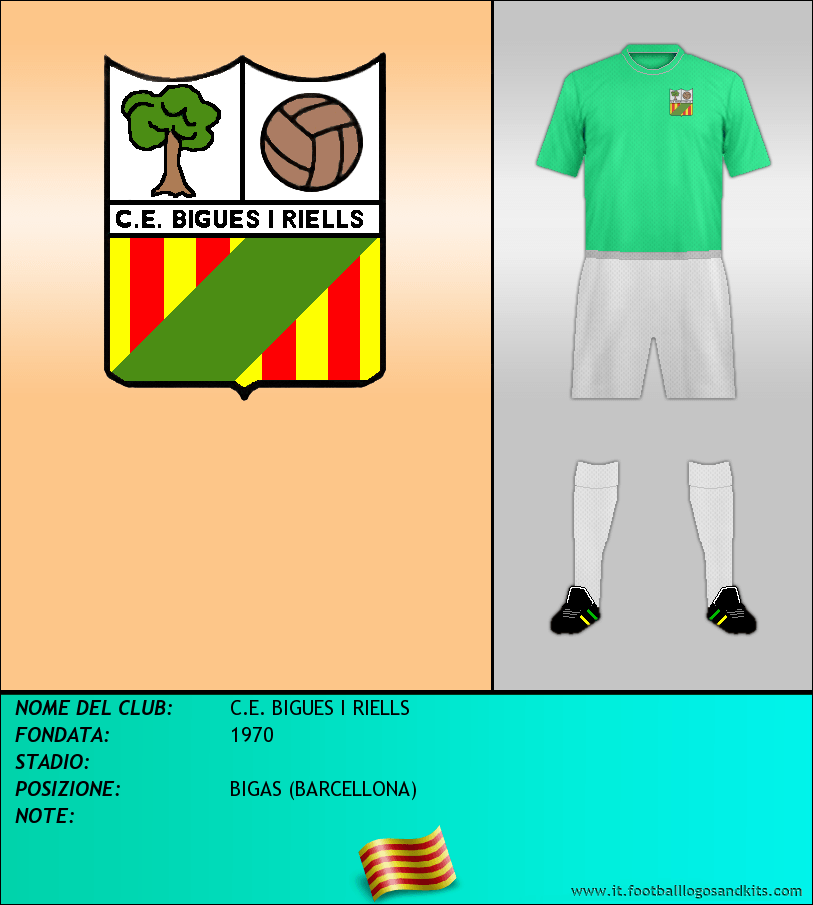 Logo di C.E. BIGUES I RIELLS