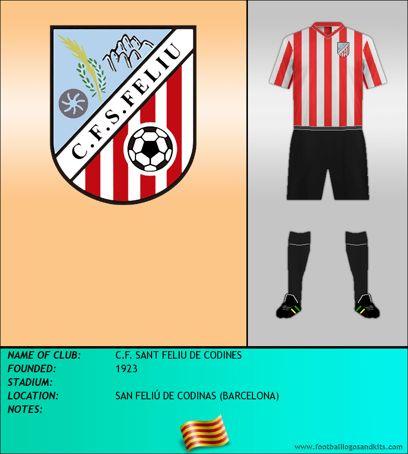 Logo of C.F. SANT FELIU DE CODINES